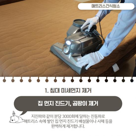 생리 핏자국
